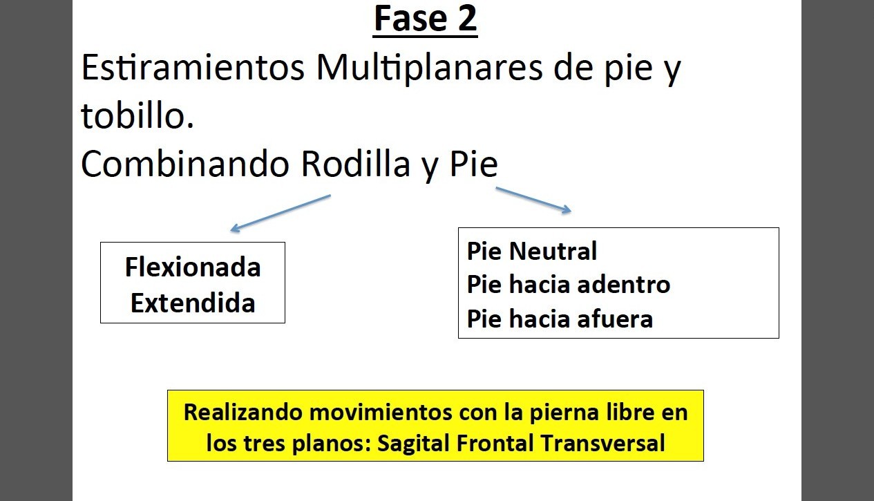 FTHP Institute Fase 2