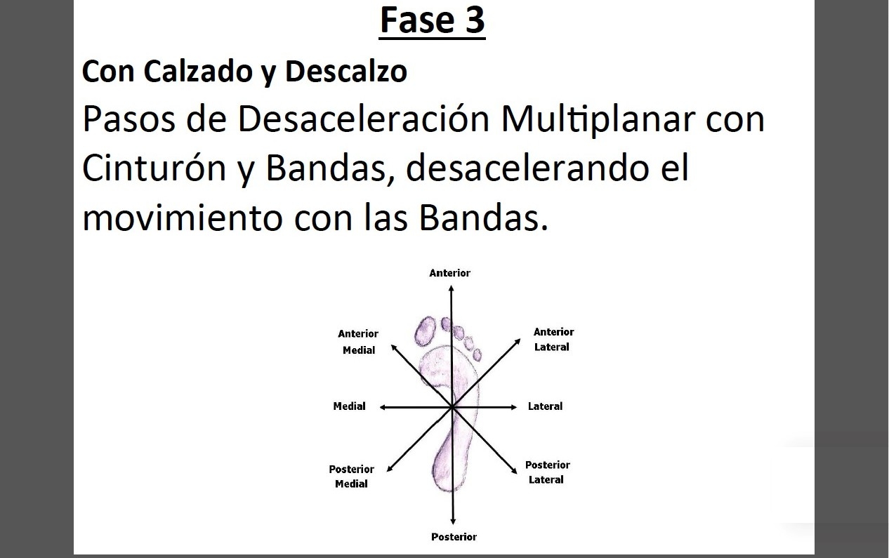 FTHP Institute Fase 3